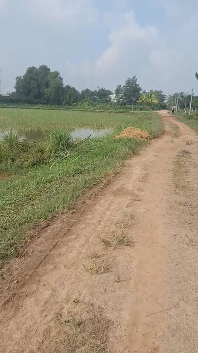 Đất lúa xã Mỹ Hạnh - 1890m² giá thỏa thuận - Cơ hội đầu tư hấp dẫn!