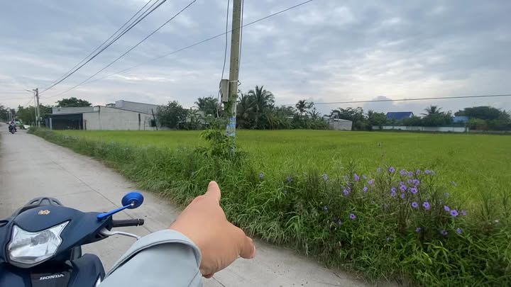 Đất thổ cư 250m² tại Hòa Khánh Nam, Đức Hòa, Long An chỉ 1.28 tỷ - Đầu tư sinh lời ngay!