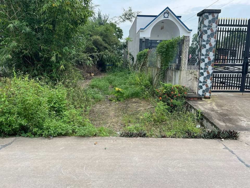 Đất thổ cư Đức Hòa Thượng 225m² giá 1.1 tỷ - Tiềm năng đầu tư lớn!