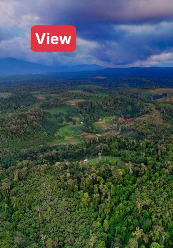 Đất nền Măng Đen 182m² giá 4.94 tỷ - View xinh đẹp, vị trí đắc địa!