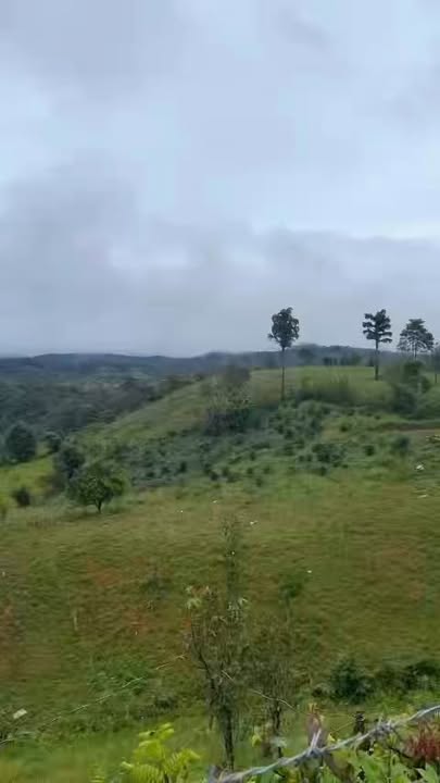 Đất nền Tỉnh lộ 676, Kon Plông 3600m² giá chỉ 1 tỷ - Cơ hội đầu tư hot!