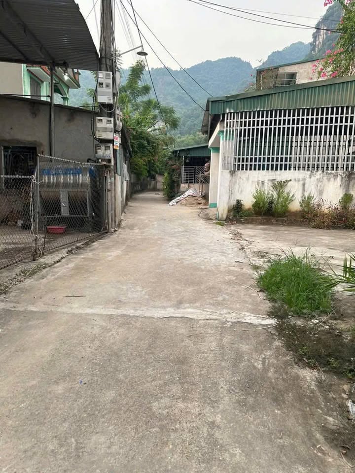 Đất chính chủ tại Nông Tiến, Tuyên Quang 131m² - Vị trí đẹp, giá tốt!