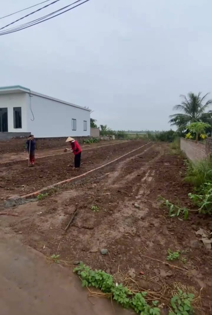 Đất nền Hòa Bình, Hùng Thắng, Tiên Lãng 135m² chỉ 900 triệu - Cơ hội vàng cho nhà đầu tư!