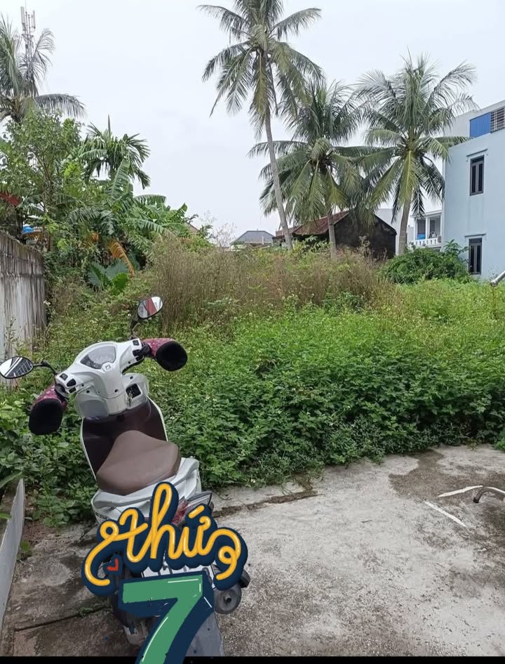 Đất nền Tiên Lãng 69,3m² chỉ 1.2 tỷ - Sổ đỏ chính chủ, vị trí đẹp!