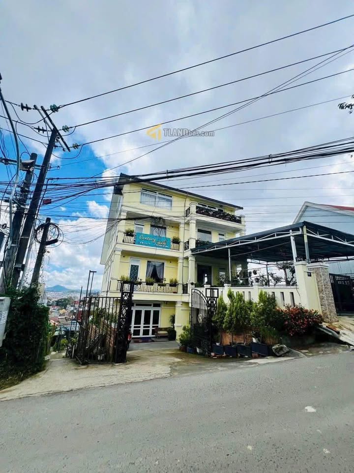 Nhà cấp 4 đường Ngô Thì Sỹ - Phường Xuân Hương Đà Lạt 65.81m² giá 5.2 tỷ - Vị trí đẹp, thoáng đãng!