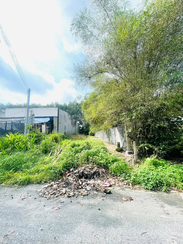 Đất nền đường Trần Thị Triên, huyện Củ Chi 311m² giá 2.9 tỷ - Vị trí đắc địa, tiện ích đầy đủ!