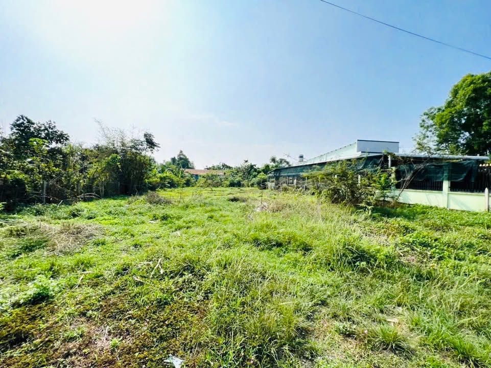 Đất thổ cư 1200m² đường Nguyễn Thị Dư, Củ Chi giá 9.5 tỷ - Vị trí đẹp, đầu tư sinh lời!