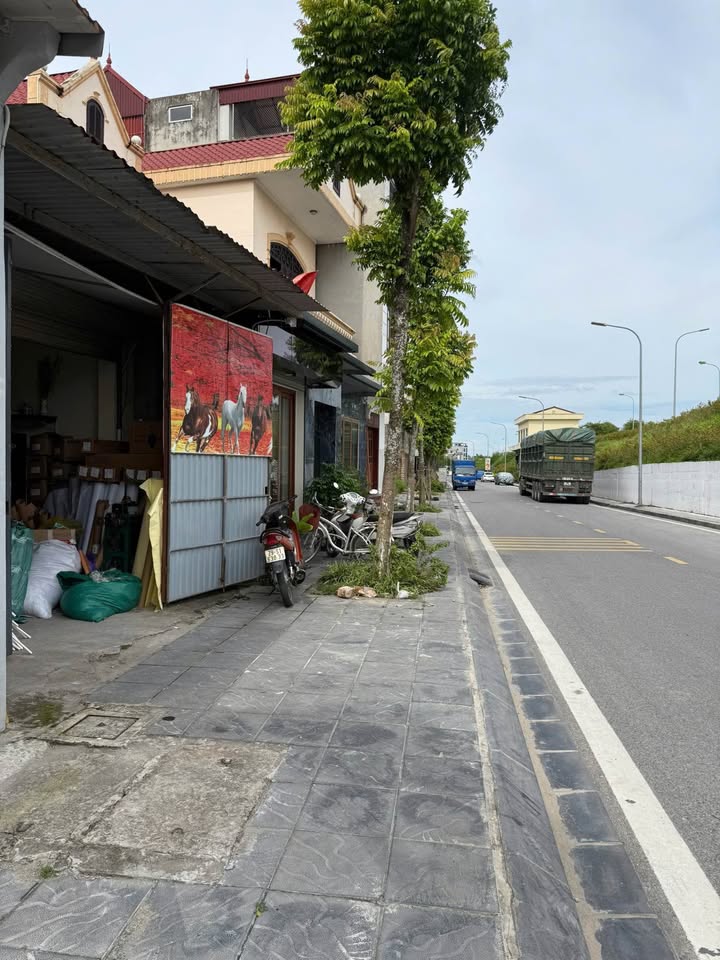 Đất Phố Phúc Lợi Long Biên 320m² giá 44.8 tỷ - Cơ hội đầu tư hấp dẫn!