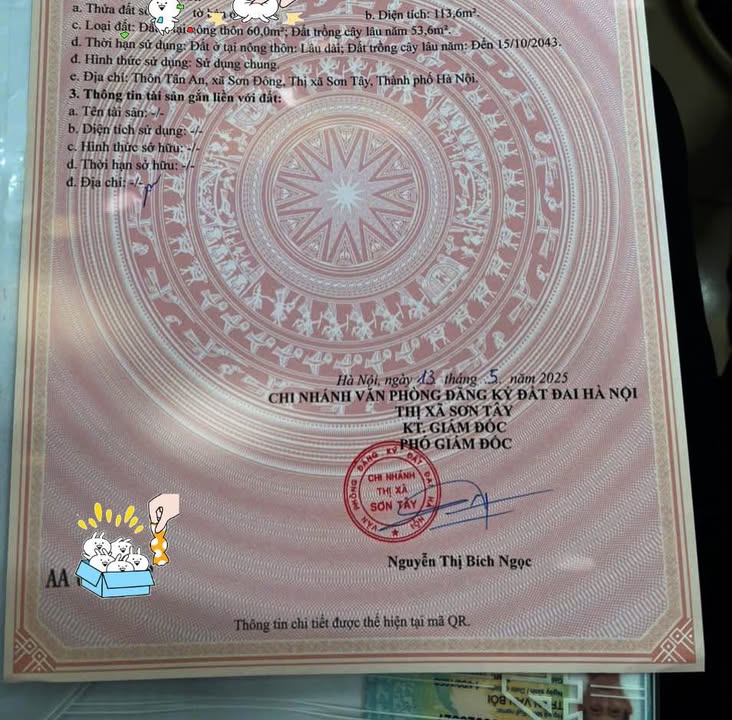 Căn hộ Tân An Sơn Đông 113m² giá chỉ từ 1 tỷ - Đầu tư sinh lời ngay!