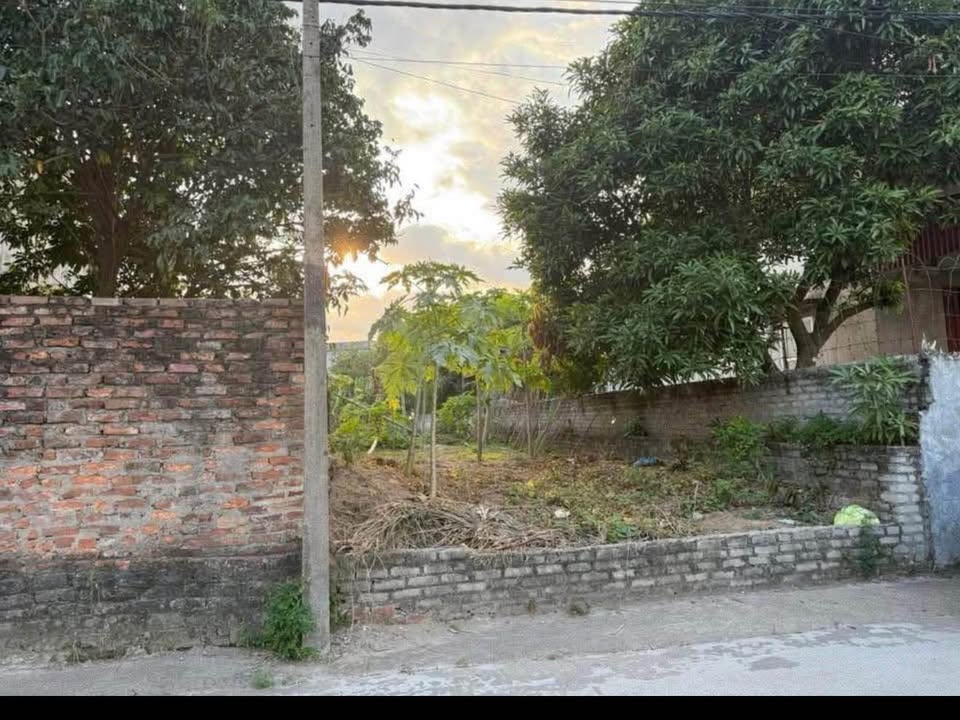 Đất thổ cư 200m² tại Mỹ Xá, Nam Sách chỉ 1.1 tỷ - Đường rộng ô tô tránh nhau!