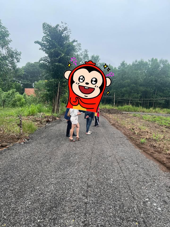 Đất thổ cư Long Phước 126m² giá 900 triệu - Đầu tư sinh lời ngay!