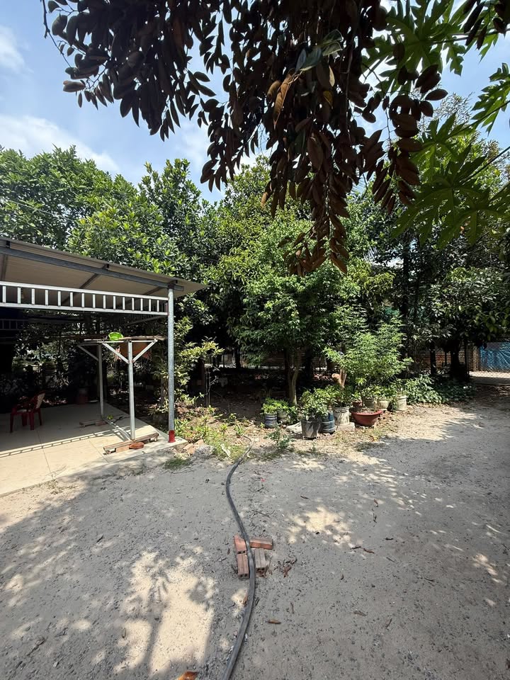 Đất nền An Phước Long Thành 1147m² giá 5 tỷ - Đầu tư sinh lời ngay!