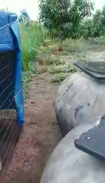 Đất nền 10x100m tại Ấp Thành Trung, Kiên Giang - Sổ hồng chính chủ, 2 mặt tiền!