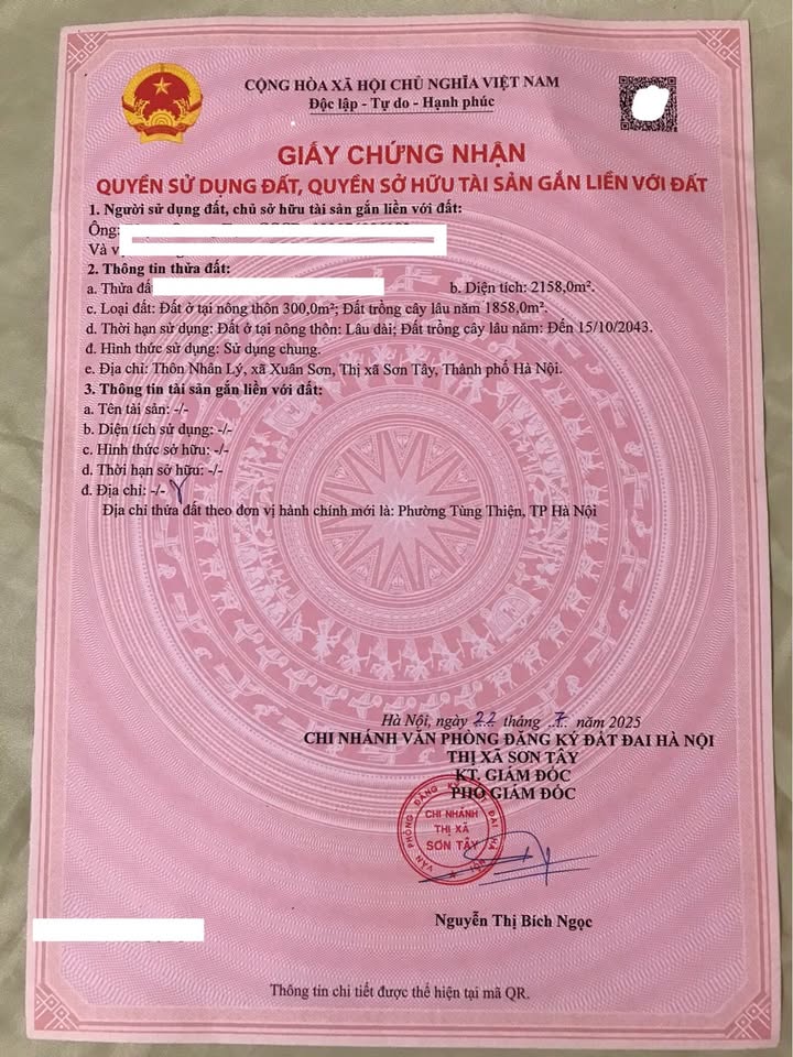 Bán đất thổ cư 2.158m² phường Tùng Thiện, Sơn Tây - Mặt tiền 60m, giá chỉ 4,2 triệu/m²!