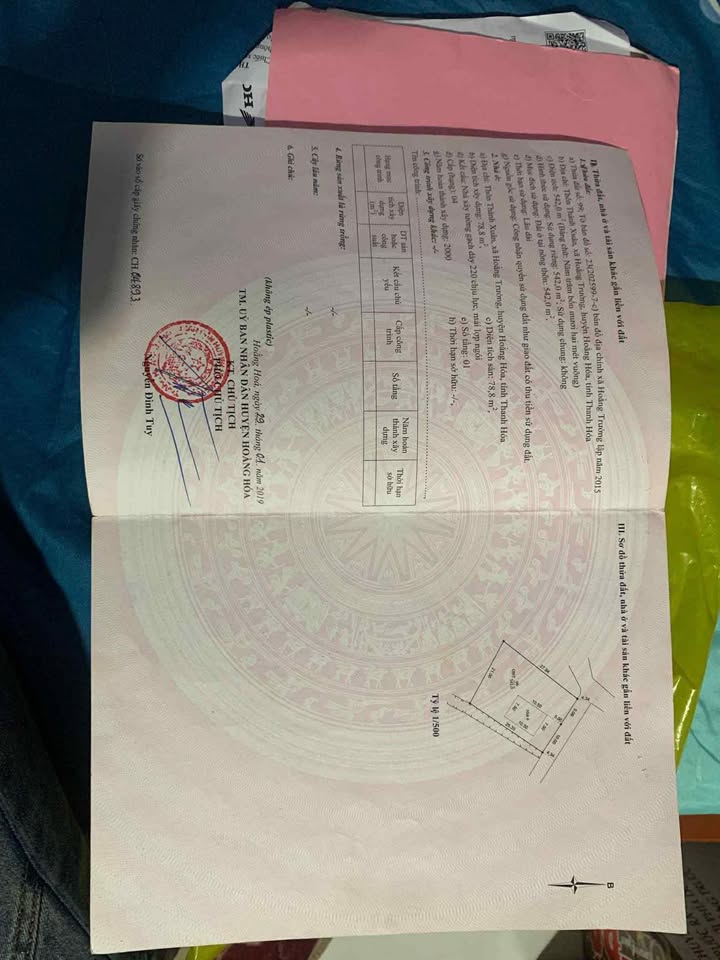 Đất chính chủ Hoằng Trường 196m² giá chỉ 1.7 tỷ - Cơ hội đầu tư tuyệt vời!