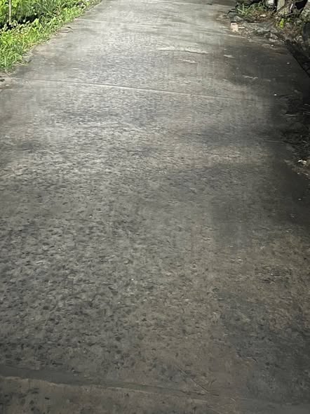 Đất 504.3m² tại Hoa Nghĩa, Chợ Lách, Bến Tre - Giá chỉ 500 triệu!