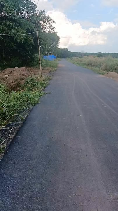 Đất nền Xã Tân Lâm, Xuyên Mộc 8.300m² giá 1.205 tỷ - Cơ hội đầu tư tuyệt vời!