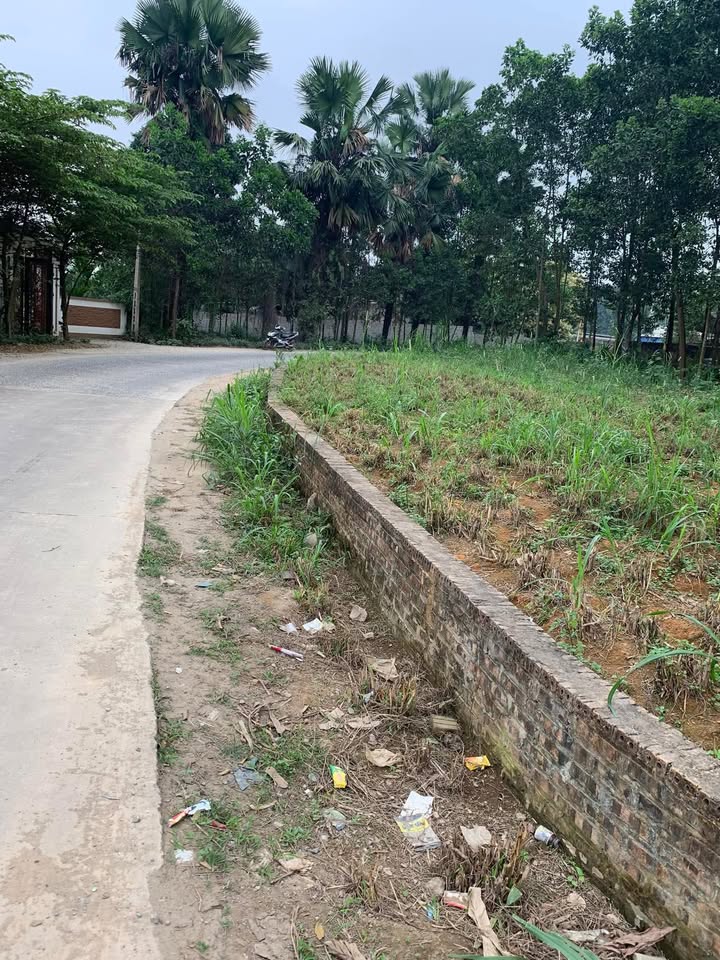 Đất nền Hương Lung 300m² giá 550 triệu - Sổ đỏ chính chủ, mặt đường nhựa