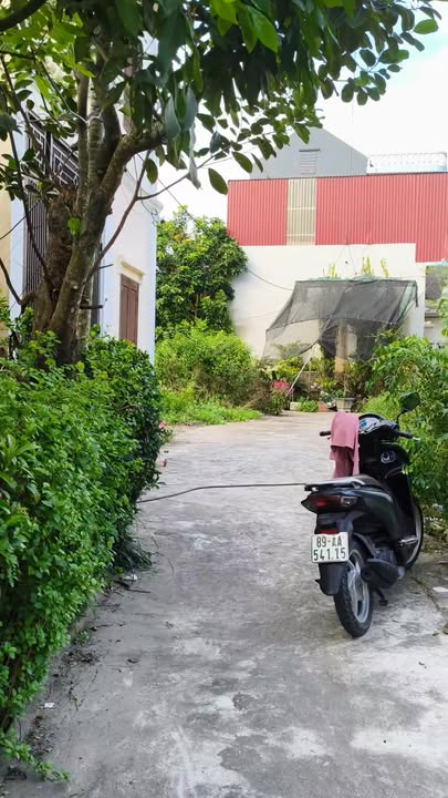 Lô đất 3 mặt tiền Hồng Nam, Hưng Yên 61m² giá 1.55 tỷ - Tiềm năng sinh lời cao!