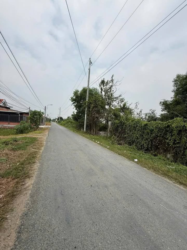 Đất thổ cư Cần Giuộc 1000m² giá 8.5 tỷ - Đầu tư sinh lời ngay!