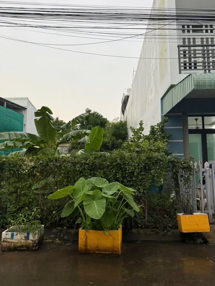 Đất nền KĐT Sao Mai Bình Khánh 85m² giá 1.9 tỷ - Vị trí đẹp, giao thông thuận lợi!