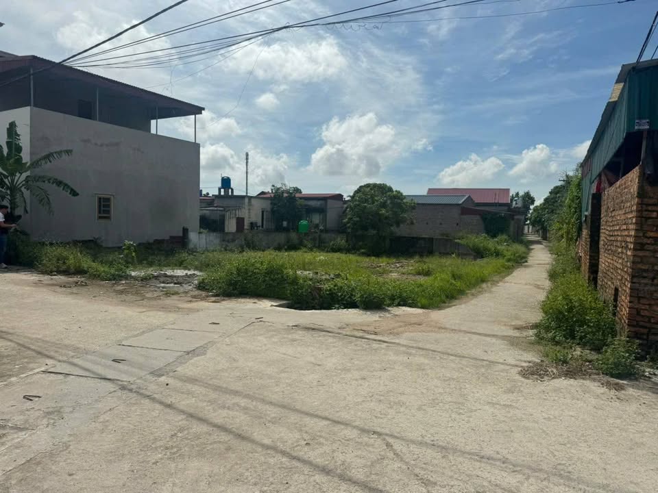 Đất thổ cư Lương Thường, Thái Thụy 189m² chỉ 1,1 tỷ - Lô góc đẹp, đường ô tô vào tận nơi!