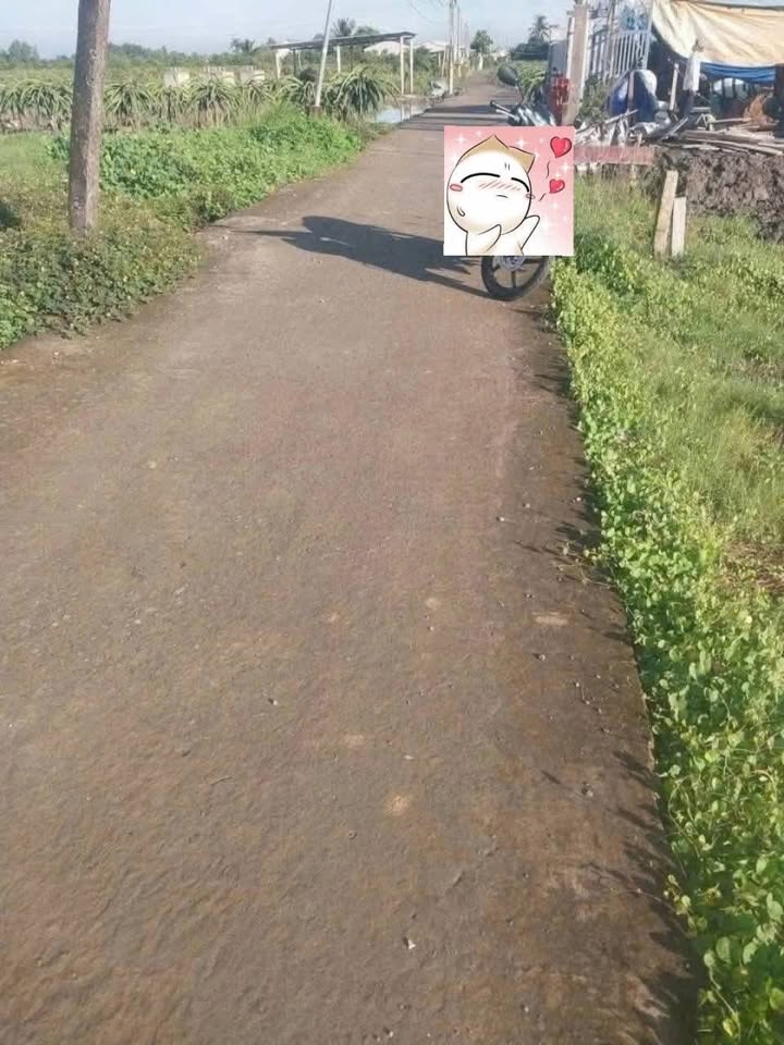 Đất thổ cư Thanh Phú Long 130m² giá 300 triệu - Sổ đỏ chính chủ, vị trí đẹp!