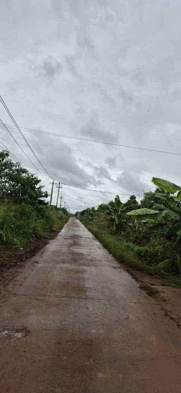 Farm 9ha sầu Thái tại Cư M'gar, Đắk Lắk - Giá 87 tỷ, đầu tư sinh lời!