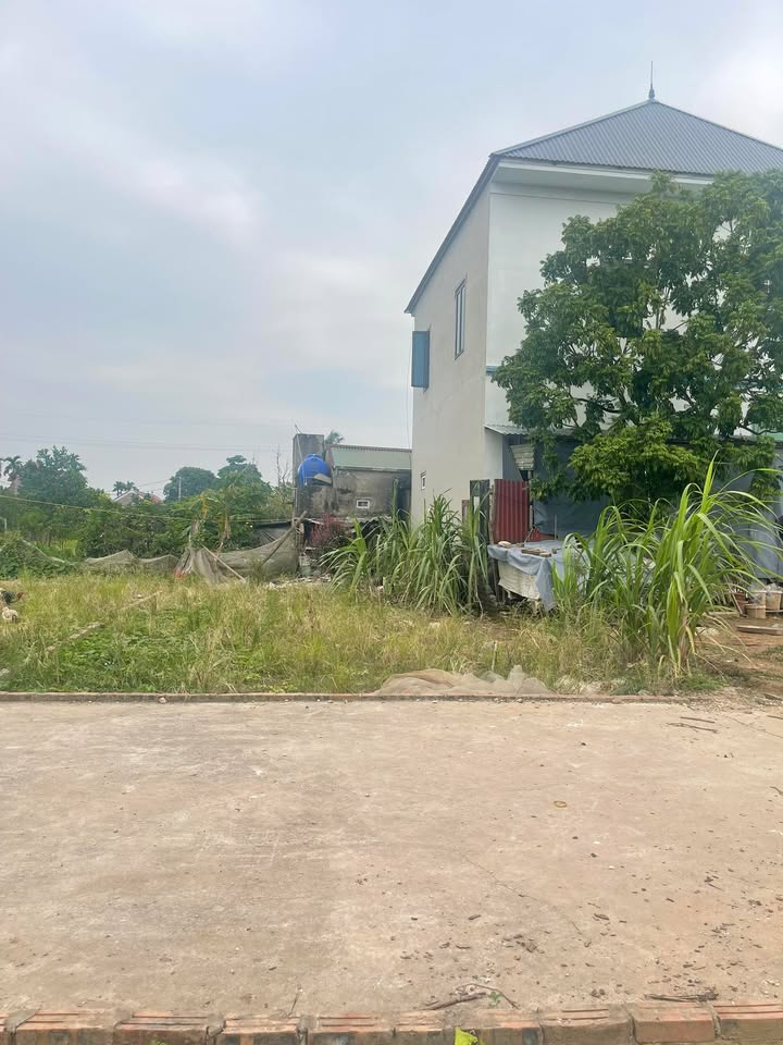 Đất thổ cư Chương Dương, Thường Tín 80m² giá 3X - Vị trí vàng hiếm có!