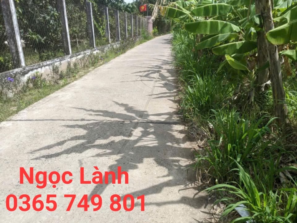 Đất thổ cư 1200m² Thạnh Phước, Bình Đại chỉ 60 tỷ - Cơ hội đầu tư hấp dẫn!