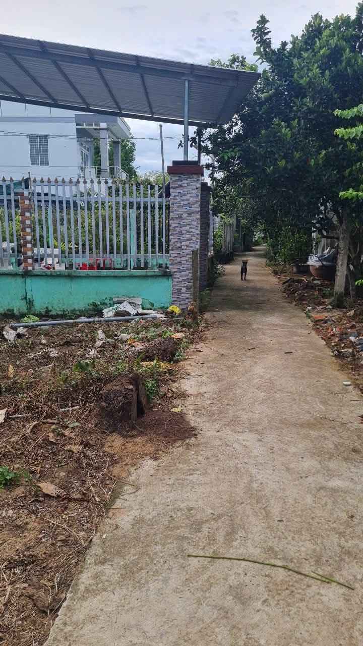 Đất nền thổ cư Phú Khương 132.8m² giá 450 triệu - Cơ hội đầu tư hiếm có!