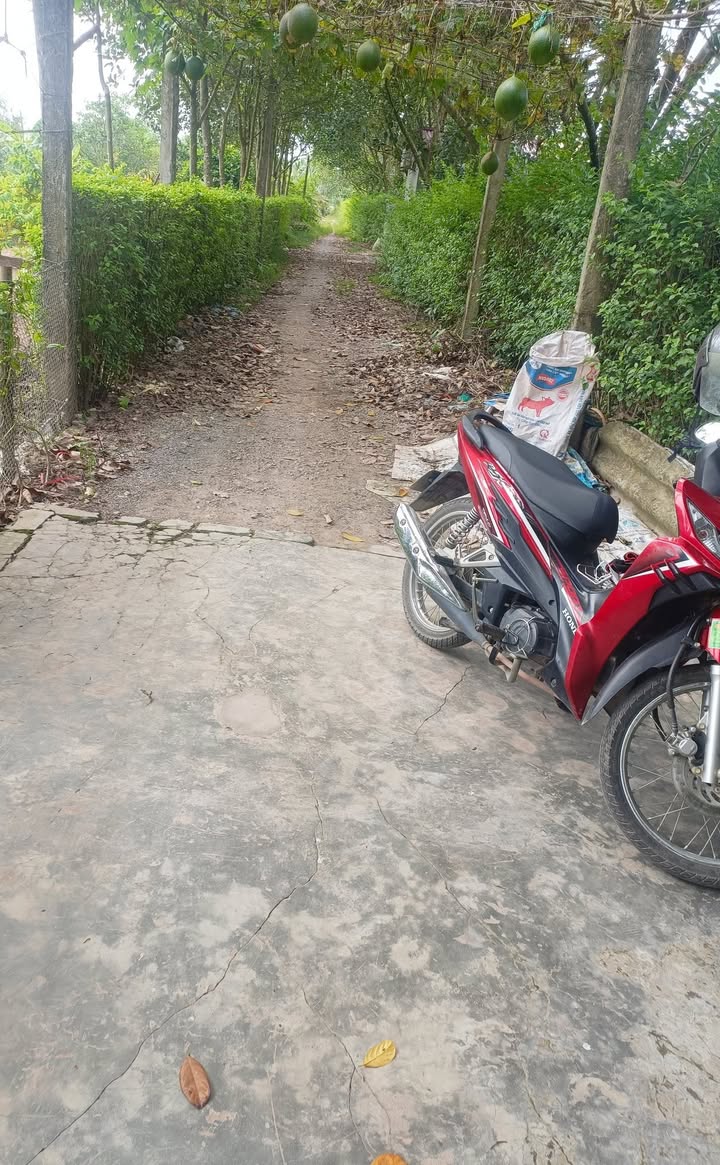 Bán đất trồng cây lâu năm tại Đại Hưng, Mỹ Đức, 705m² - Cơ hội đầu tư hấp dẫn!