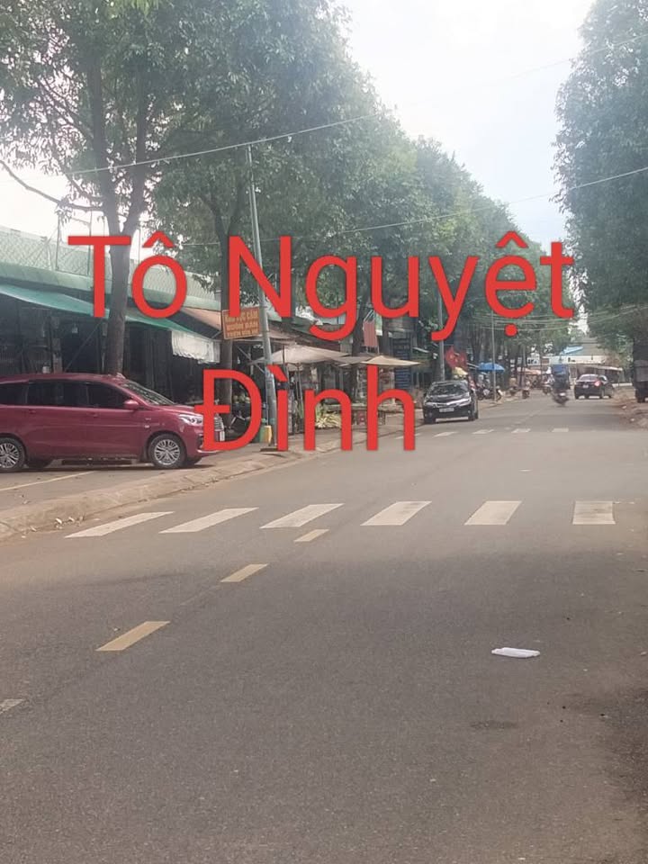 Đất nền Hắc Dịch, Phú Mỹ 151m² giá 1.4 tỷ - Sổ đỏ chính chủ, cơ hội đầu tư sinh lời!