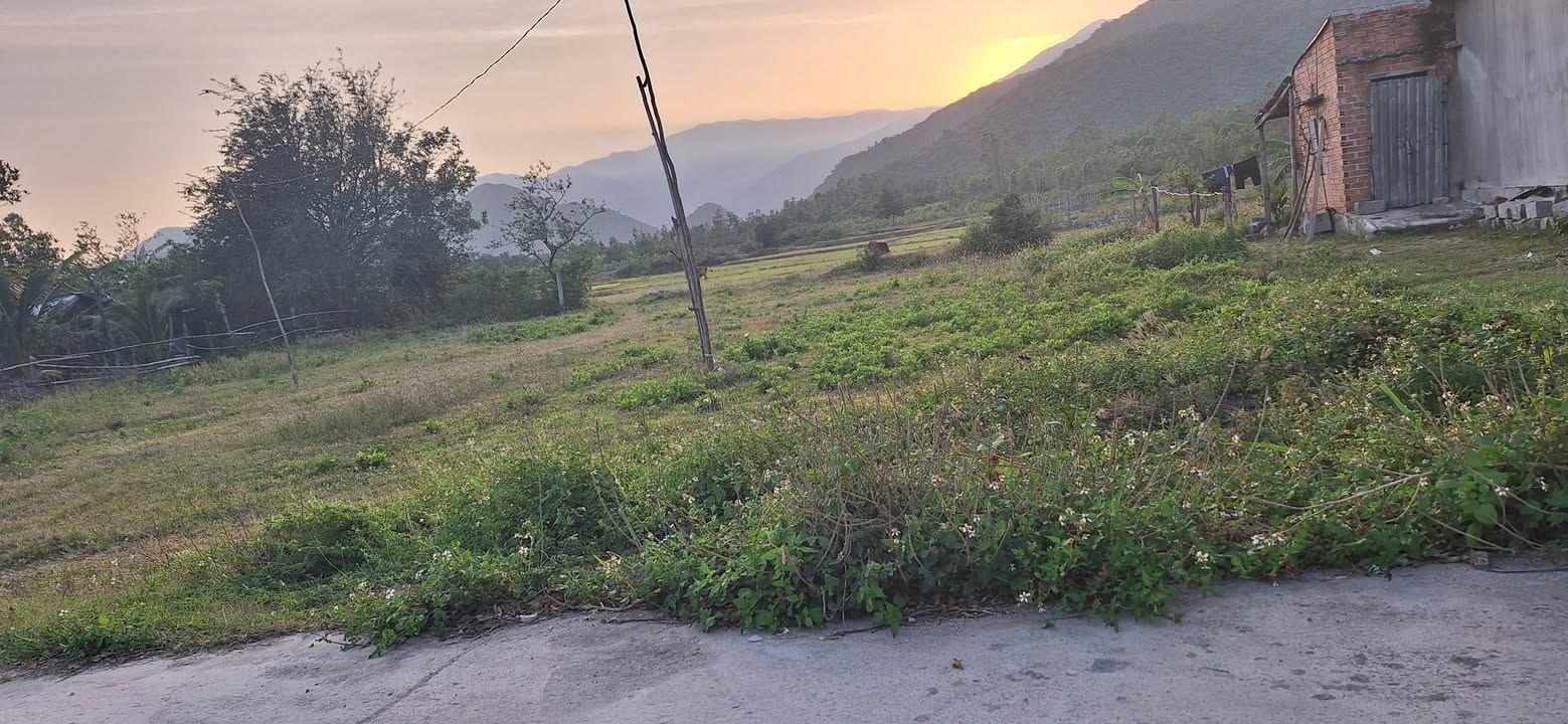 Đất thổ cư 545m² tại Vạn Bình, giá 980 triệu - Cơ hội đầu tư hấp dẫn!