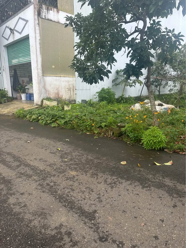 Đất thổ cư hẻm 402 Phan Đình Phùng, Bảo Lộc 2m² giá 1.5 tỷ - Cơ hội đầu tư tốt!