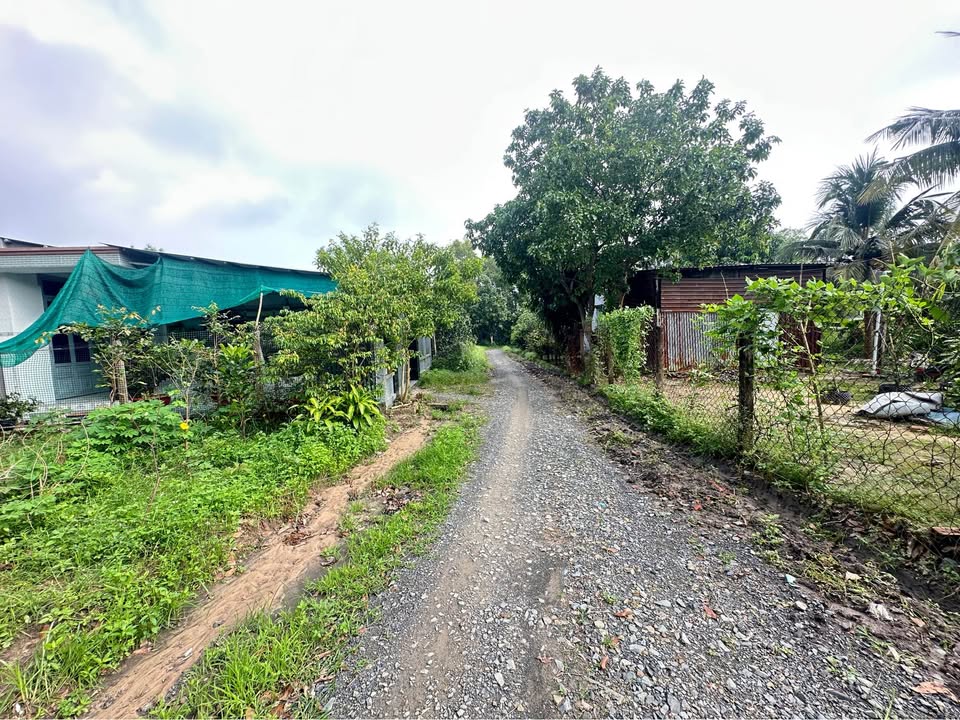 Đất thổ cư 346m² tại KP Hòa Lợi, An Hòa, Trảng Bàng chỉ 1.1 tỷ - Sổ hồng chính chủ!