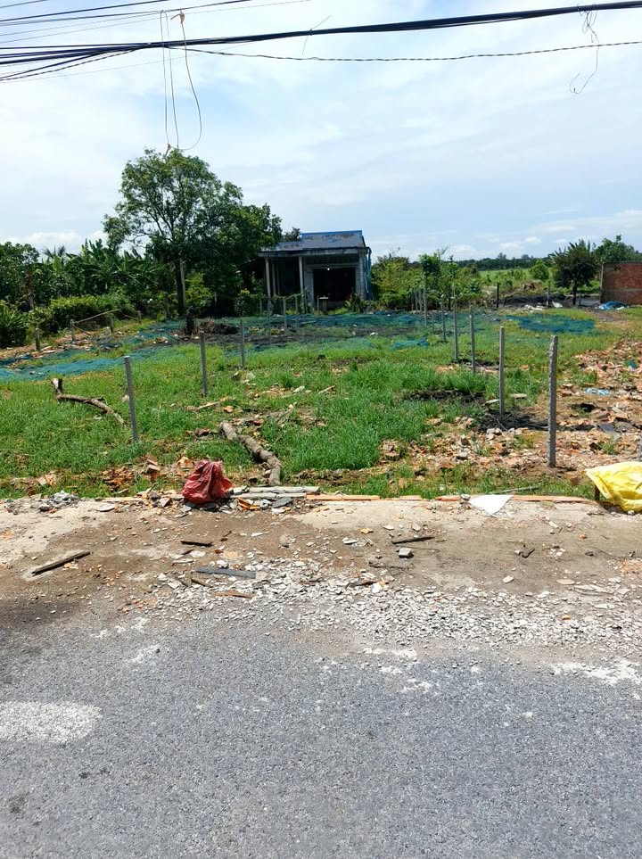 Đất thổ cư mặt tiền đường nhựa 241m² xã Mỹ Quý - Tiềm năng phát triển cao!