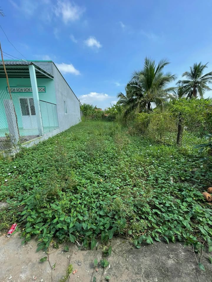 Đất thổ cư Hẻm 646, P7, Tân An 171m² giá 1.15 tỷ - Vị trí đẹp, dân cư đông đúc!