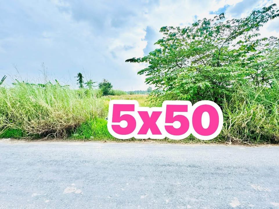 Đất mặt tiền nhựa khu phố 4, Đức Hòa, Long An 250m² giá 1.65 tỷ - Cơ hội đầu tư hấp dẫn!