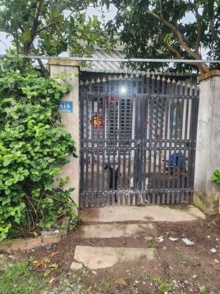 Nhà bán chính chủ tại xã Mỹ Hạnh, huyện Đức Hòa, Long An - Diện tích 150m² chỉ 1.35 tỷ!