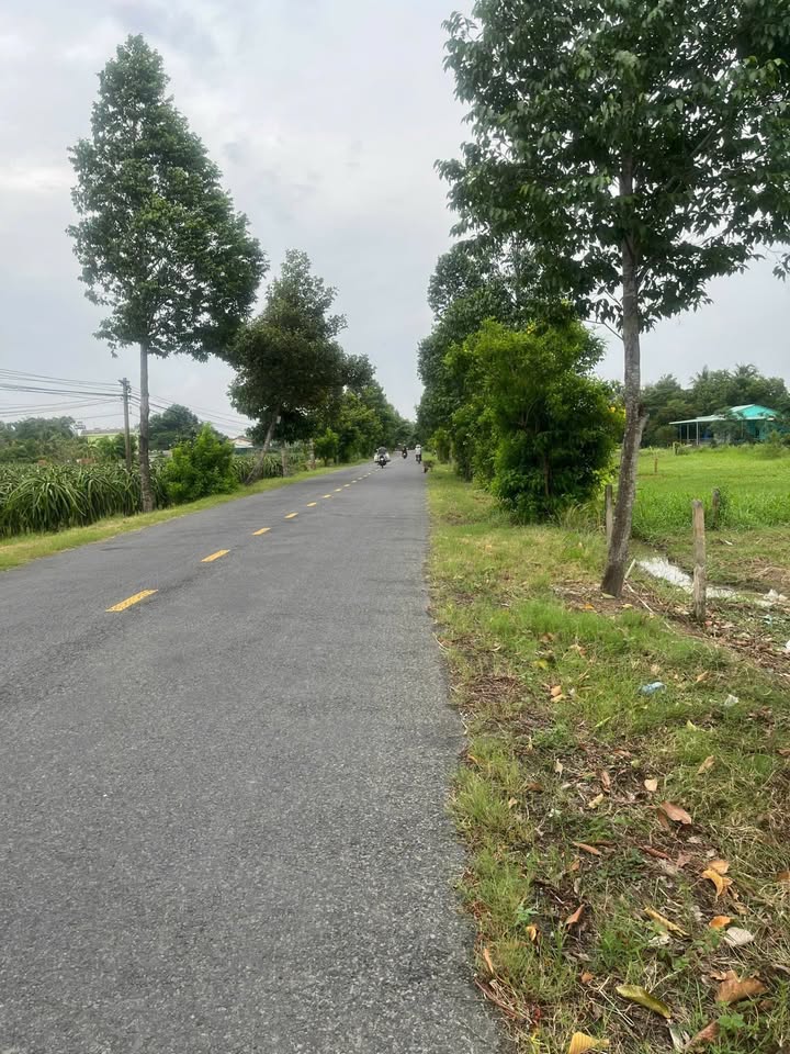 Đất nền 3 mặt tiền xã Phú Ngãi Trị, Châu Thành, Long An 2500m² - Giá chỉ 3 tỷ thương lượng!