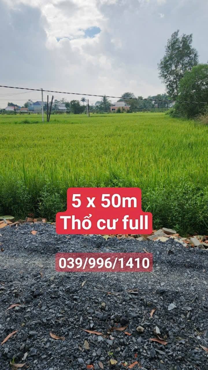 Đất thổ cư ấp Tân Lập, Tiên Thuận, Bến Cầu 250m² giá 260 triệu - Cơ hội đầu tư tuyệt vời!