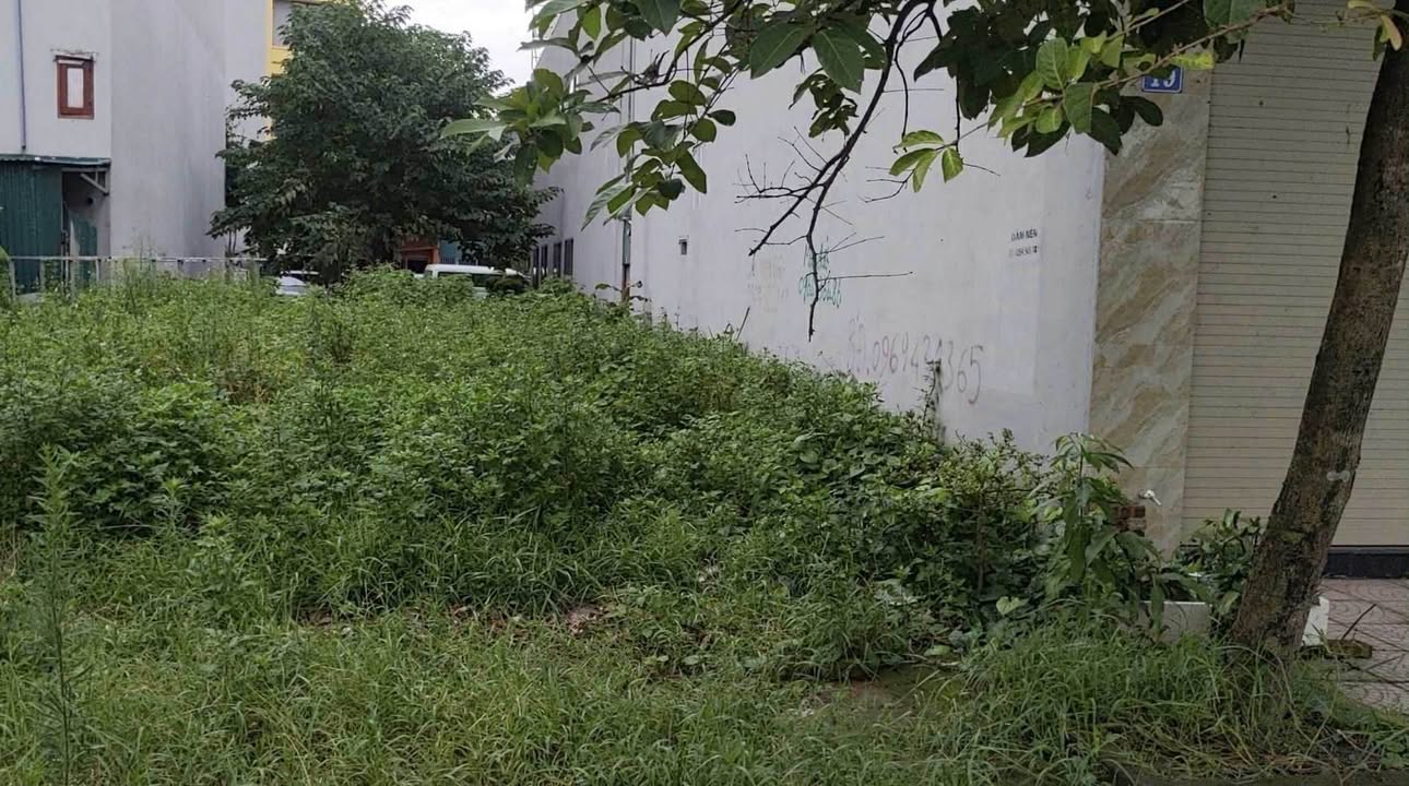 Đất nền Vân Dương Bắc Ninh 72m² giá 3 tỷ - Đầu tư sinh lời tuyệt vời!