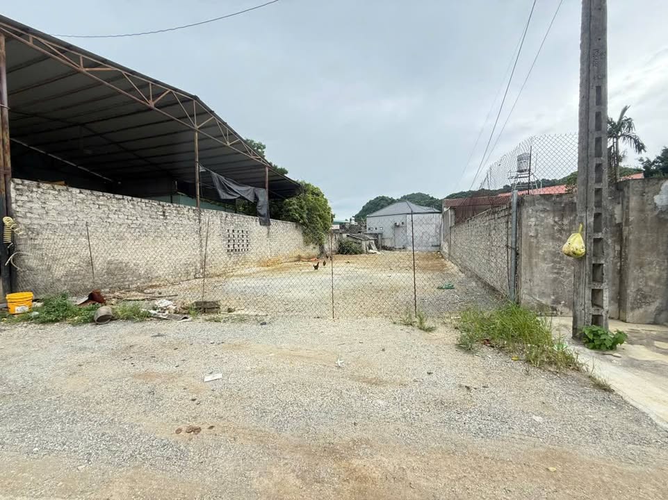 Đất nền chính chủ phường Trung Sơn Tam Điệp 100m² - Giá đầu tư siêu tốt!