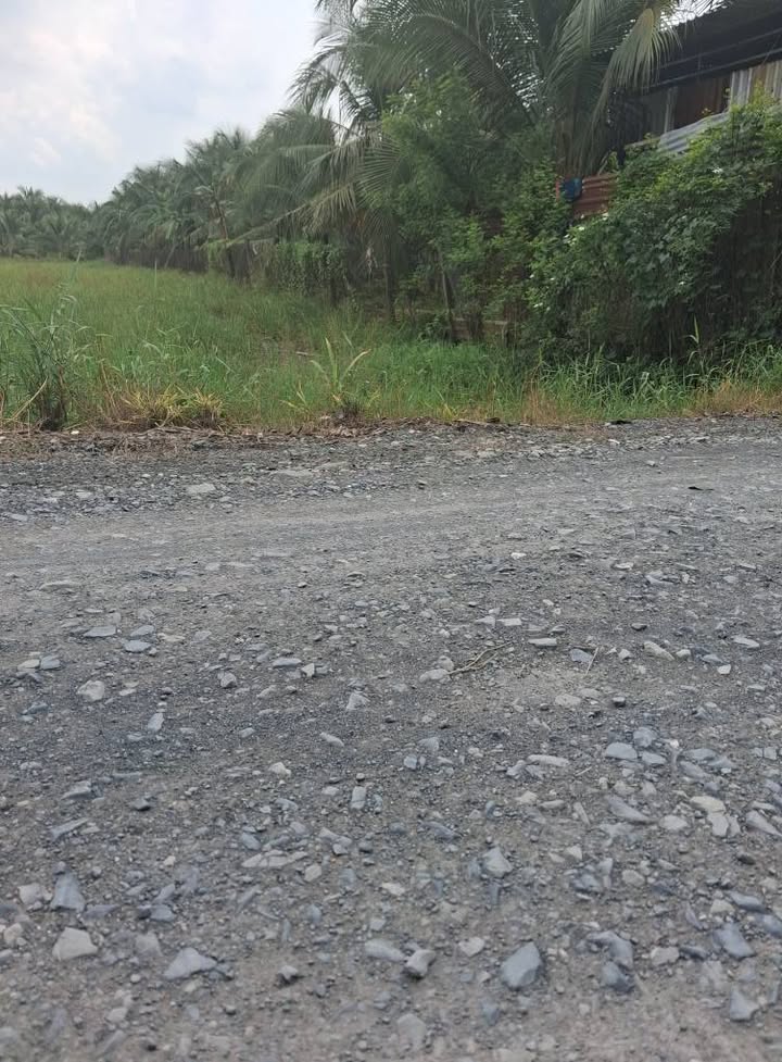 Đất mặt tiền 2000m² tại Đăng Hưng Phước Chợ Gạo giá chỉ 2.2 tỷ - Cơ hội đầu tư hấp dẫn!