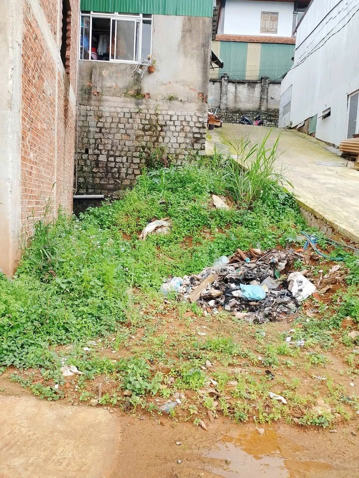 Đất nền hẻm xe hơi Cô Loa, phường Xuân Hương, Đà Lạt 50m² chỉ 2.8 tỷ - Cơ hội đầu tư tuyệt vời!