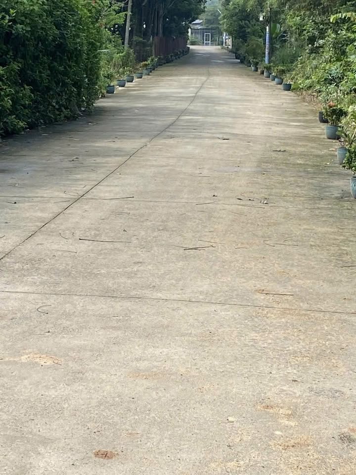 Đất Tân Lập, Tân Uyên, Bình Dương 222m² giá 1.9 tỷ - Đầu tư sinh lời ngay!