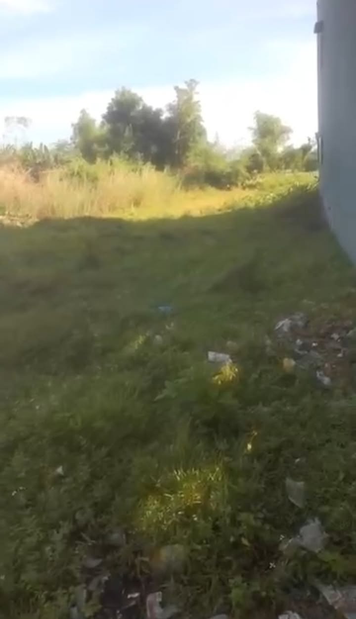 Đất nền Thị trấn Hà Lam 150m² giá 900 triệu - Đầu tư sinh lời ngay hôm nay!