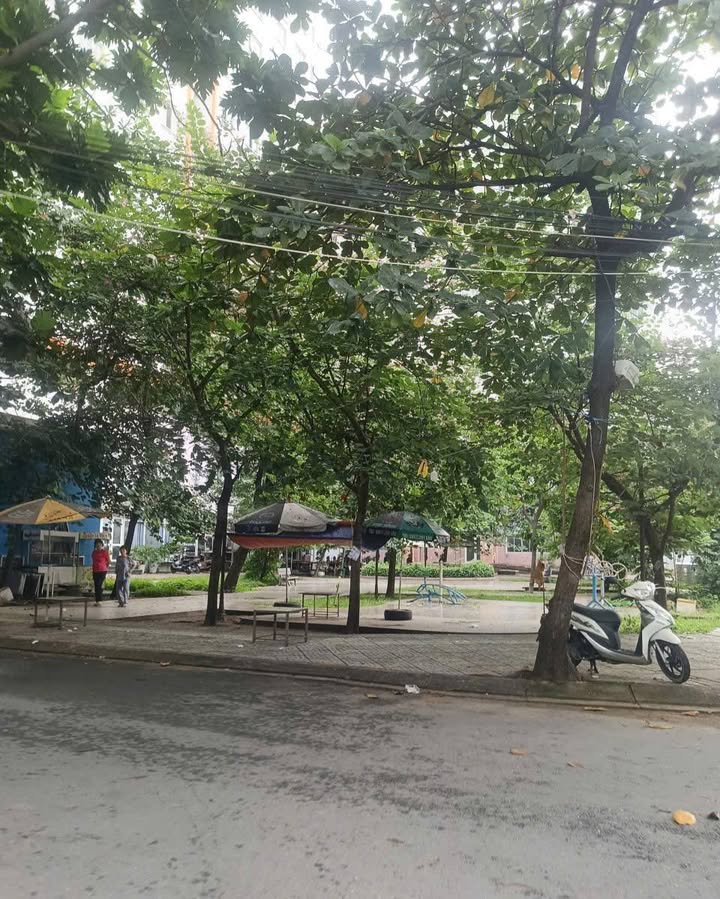 Nhà đẹp Bông Sao, quận 8, 45m² giá 5.98 tỷ - Đầu tư sinh lời ngay!