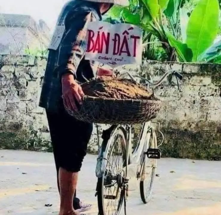 Đất nền mặt tiền Việt Hưng 50m² giá 6 tỷ - Đầu tư sinh lời ngay!